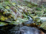 Frost by the River Etherow