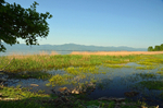 Lake Kerkini, Central Macedonia, Greece