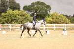 SBM_004529