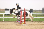 SBM_001698