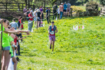 The Finish-231