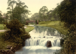 Buxton 4