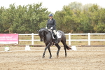 SBM_003980