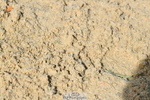 251004A-115015-00773