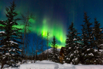 Aurora 3