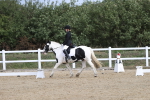 SBM_001973