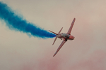 _J8A5401