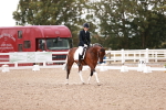 SBM_04003