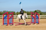 SBM_006711