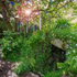 PS113 Holy Well, Sancreed, Cornwall
