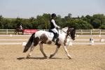 SBM_004148