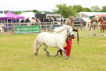 SBM_04371