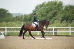 SBM_000181