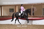 BPP_9335