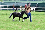 SBM_03379
