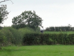 013 Leaving Bishop Wilton last view of the Church Spire
