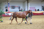 SBM_16060