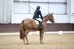 SBM_004554