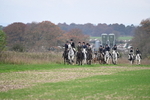 WJ6_9129