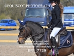 BPP_7729