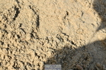 251004A-112443-00612