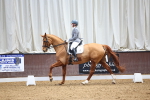 SBM_007955