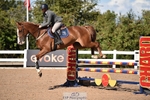 Cls 21 Brit Novice + 90cm Open portfolio