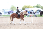 SBM_17066