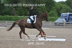 BPP_0619