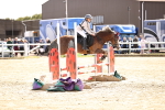 SBM_001598
