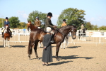 SBM_02312