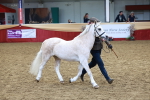 SBM_17391