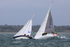210808 MORNING AFTER GBR26R 1Y3A2635