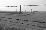 Black and White image of Auschwitz II-Birkenau barbed wire fence