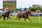 300526-Race 6-Zoustar Dreams-0817