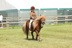 SBM_05343