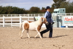 SBM_14239