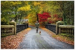 Autumn - 