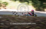 Hillclimb_08-08-2015_KART-41