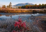Katahdin Marsh