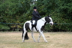 WJ7_1205