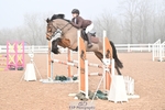 Sunday Wessex Ring portfolio