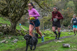 Dovedale Dash-1207