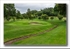 9th Copse