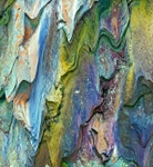 Lita Abstract