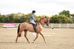SBM_009083