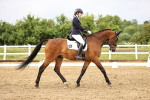 SBM_005203