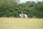 WJ6_1451