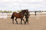 SBM_15415