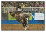 Saddle Bronc 2